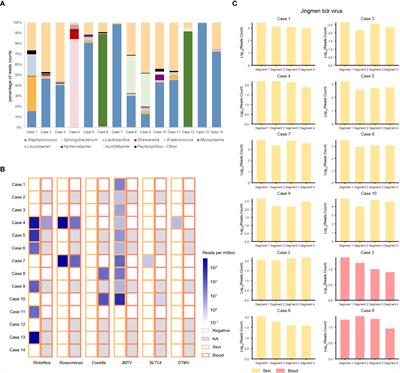 Skin infectome of patients with a tick bite history